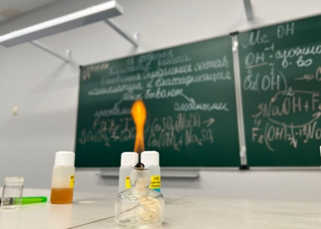 ТАЛАНТ ЗАЖИГАЕТ ТАЛАНТЫ: Дарья Чуприна (10 «Л») провела блестящий урок химии для 8 «В»!