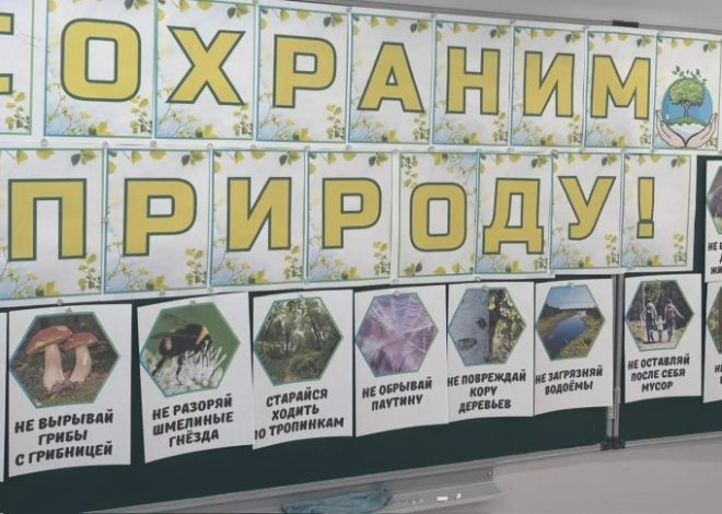 В 3 «Е», 3 «Ж» классах прошел экологический урок окружающего мира–игра «Берегите природу»