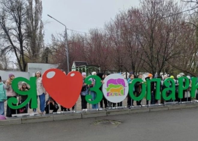 Весенние каникулы с пользой: как учащиеся нашей школы проводят время