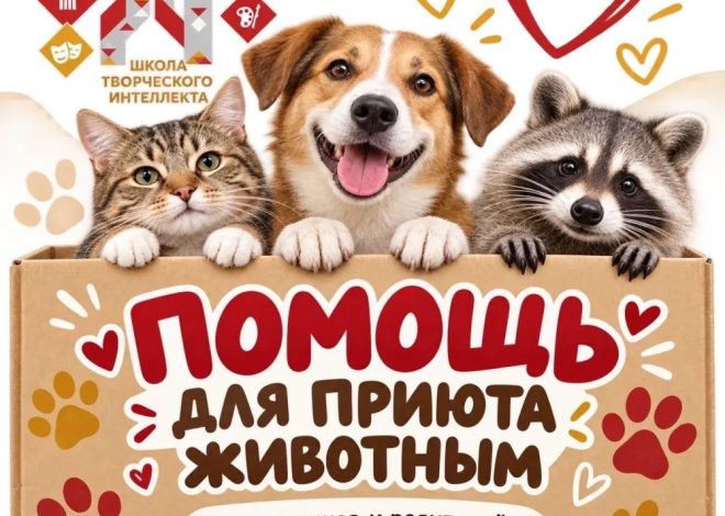 ВМЕСТЕ ПОМОГАЕМ ТЕМ, КТО НЕ МОЖЕТ ПОПРОСИТЬ О ПОМОЩИ!